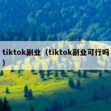 tiktok副业（tiktok副业可行吗）