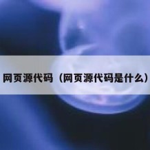 网页源代码（网页源代码是什么）