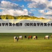 如何自学开发小程序（如何自学开发小程序教程）