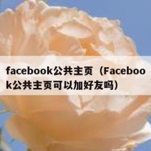 facebook公共主页（Facebook公共主页可以加好友吗）