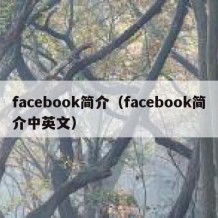 facebook简介（facebook简介中英文）