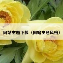 网站主题下载（网站主题风格）