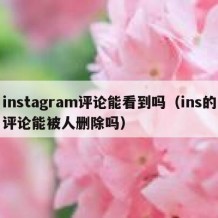 instagram评论能看到吗（ins的评论能被人删除吗）