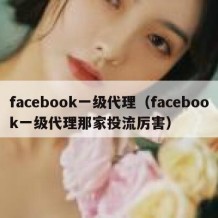 facebook一级代理（facebook一级代理那家投流厉害）