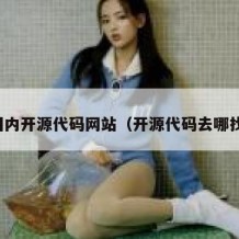 国内开源代码网站（开源代码去哪找）