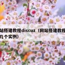 网站搭建教程discuz（网站搭建教程需要几个实例）