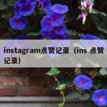 instagram点赞记录（ins 点赞记录）