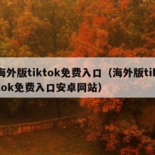 海外版tiktok免费入口（海外版tiktok免费入口安卓网站）