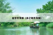 自学开发板（自己做开发板）