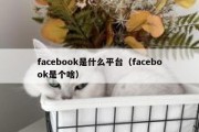 facebook是什么平台（facebook是个啥）