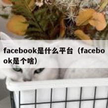 facebook是什么平台（facebook是个啥）