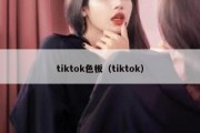 tiktok色板（tiktok）