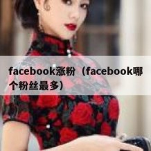 facebook涨粉（facebook哪个粉丝最多）