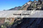 tiktok吧（tiktok）