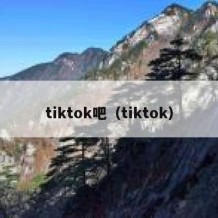 tiktok吧（tiktok）