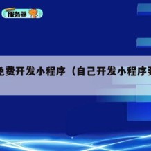 自己免费开发小程序（自己开发小程序要钱吗）