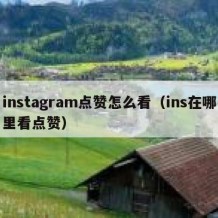 instagram点赞怎么看（ins在哪里看点赞）