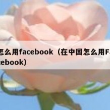 怎么用facebook（在中国怎么用Facebook）