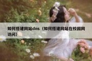 如何搭建网站dns（如何搭建网站在校园网访问）