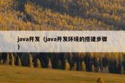 java开发（java开发环境的搭建步骤）