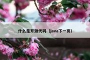 什么是开源代码（java下一页）