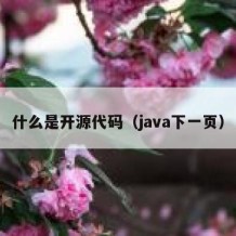 什么是开源代码（java下一页）