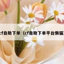 cf自助下单（cf自助下单平台懒猫）