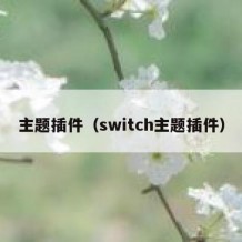 主题插件（switch主题插件）