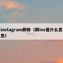 instagram刷粉（刷ins是什么意思）