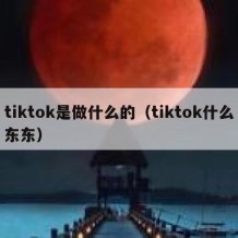 tiktok是做什么的（tiktok什么东东）