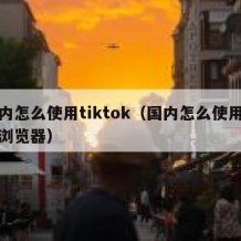 国内怎么使用tiktok（国内怎么使用谷歌浏览器）