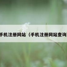 手机注册网站（手机注册网站查询）