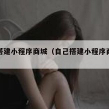 自己搭建小程序商城（自己搭建小程序商城违法吗）