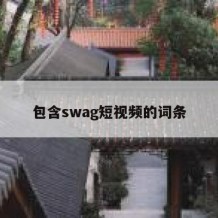 包含swag短视频的词条