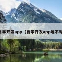 自学开发app（自学开发app难不难）