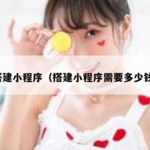 搭建小程序（搭建小程序需要多少钱）