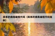 简单的病毒编程代码（简单的病毒编程代码复制）