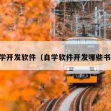 自学开发软件（自学软件开发哪些书籍）