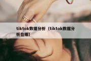 tiktok数据分析（tiktok数据分析在哪）