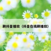 刷抖音播放（抖音在线刷播放）