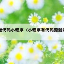自己敲代码小程序（小程序有代码源就能自己做吗）