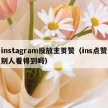 instagram投放主页赞（ins点赞别人看得到吗）