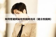 如何搭建网站在校园网访问（建立校园网）