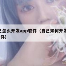 自己怎么开发app软件（自己如何开发app软件）