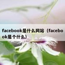 facebook是什么网站（facebook是个什么）