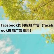 facebook如何投放广告（facebook投放广告费用）