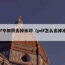 pdf中如何去掉水印（pdf怎么去掉水印）