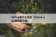 tiktok是什么意思（tiktok app国际版下载）