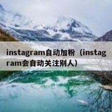 instagram自动加粉（instagram会自动关注别人）