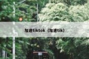 加速tiktok（加速tik）